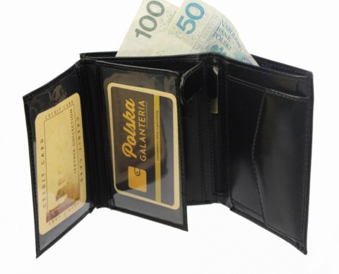 Portfel Męski Skórzany TMC Skóra Licowa Duży Pionowy Bez Zapięcia Portfel Męski Skórzany TMC Skóra Licowa Duży Pionowy Bez Zapięcia