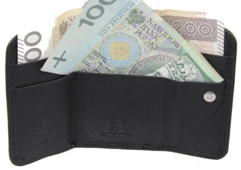 Portfel Skórzany Bułeczka ALBATROSS (PL) Skóra Licowa Suwak RFID EL 924 Portfel Skórzany Bułeczka ALBATROSS (PL) Skóra Licowa Suwak RFID EL 924