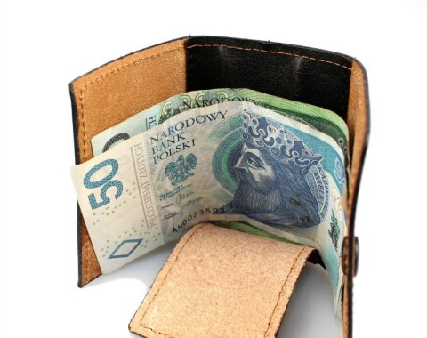 Portfelik Na Banknoty Skóra Naturalna Banknotówka ACCARDI (PL) EXTRA 3 Części Portfelik Na Banknoty Skóra Naturalna Banknotówka ACCARDI (PL) EXTRA 3 Części
