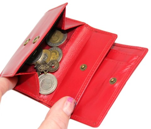 Portfelik Uniwersalny Mała Sakieweczka Skórzana El Forrest (PL) MARS II Skóra Naturalna CZERWONY 855 47 9,5 x 8 x 2 [cm]