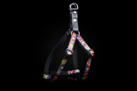 Regulowane Szelki Dla Pupila Picasso Z Materiału ZOO LESZCZ (PL) 30 mm Rozmiar L/XL ZL1080 Regulowane Szelki Dla Pupila Picasso Z Materiału ZOO LESZCZ (PL) 30 mm Rozmiar L/XL ZL1080