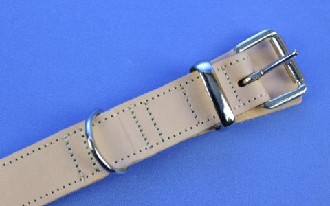 Solidna Obroża Dla Psa Jucht Skóra Naturalna 30 mm 40-52 [cm] WIREX (PL)