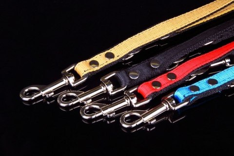 Solidna Regulowana Smycz Z Materiału Taśma Dla Psa ZOO LESZCZ (PL) 30 mm 120-220 [cm] ZL029