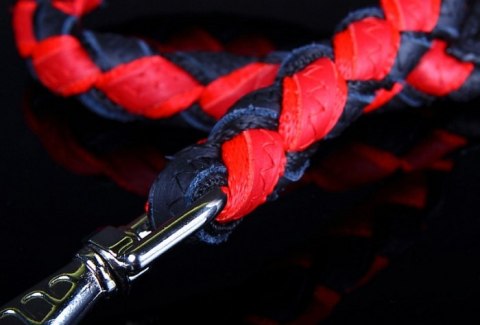 Solidna Smycz Ze Skóry Natralnej-Pejcz Dla Psa ZOO LESZCZ (PL) 18 mm 80 [cm] ZL120