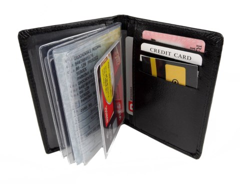 Uniwersalny Duży Wkład Foliowy Pionowy ANDRUS (PL) Do Etui Na Karty Dokumenty 11 x 7,5 [cm]