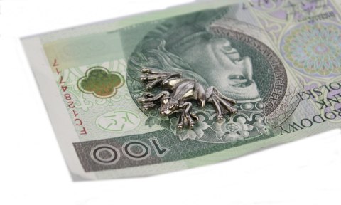Żabka Mosiężna Duża Na Pomnażanie Pieniędzy SREBRNA Żabka Mosiężna Duża Na Pomnażanie Pieniędzy SREBRNA
