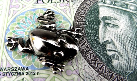 Żabka Mosiężna Średnia II Na Pomnażanie Pieniędzy - Srebrna Żabka Mosiężna Średnia II Na Pomnażanie Pieniędzy - Srebrna