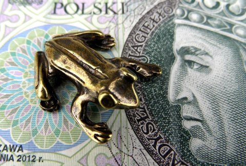 Żabka Mosiężna Średnia Z Monetą Na Pomnażanie Pieniędzy Żabka Mosiężna Średnia Z Monetą Na Pomnażanie Pieniędzy