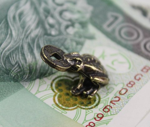 Żabka Mosiężna mała z Monetą na Pomnażanie Pieniędzy Żabka Mosiężna mała z Monetą na Pomnażanie Pieniędzy