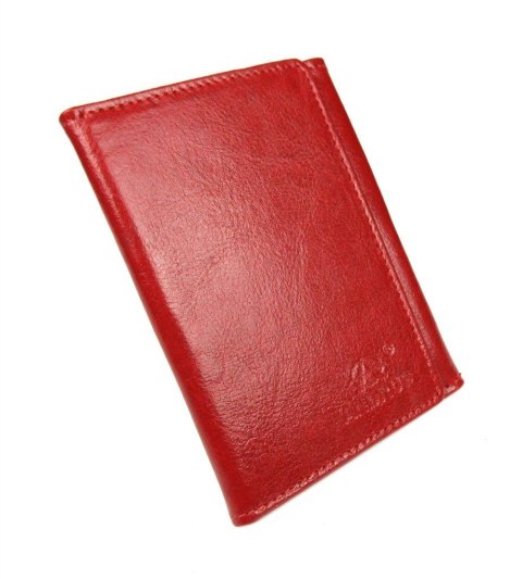 Etui Na Dokumenty ANDRUS (PL) Duży Trzy Części Skóra Naturalna RFID Etui Na Dokumenty ANDRUS (PL) Duży Trzy Części Skóra Naturalna RFID