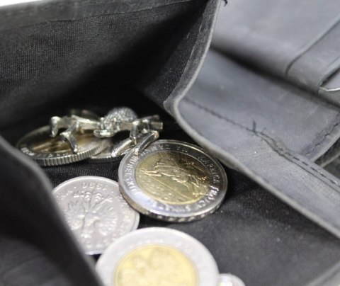 Portfel Męski WILD Skóra Zamszowa Mały Poziomy Bez Zapięcia N1662-R Portfel Męski WILD Skóra Zamszowa Mały Poziomy Bez Zapięcia N1662-R