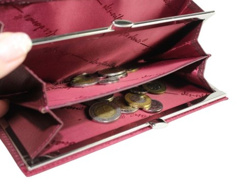 Portfel Damski Skórzany Lakierowany Jennifer Jones Długi Max Z Klamrą 5289-2 18,5 x 9,5 x 3 [cm]