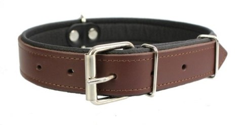 Obroża Dla Psa Ze Skóry Naturalnej ZOO LESZCZ (PL) 12 mm 27-33 [cm] ZL152