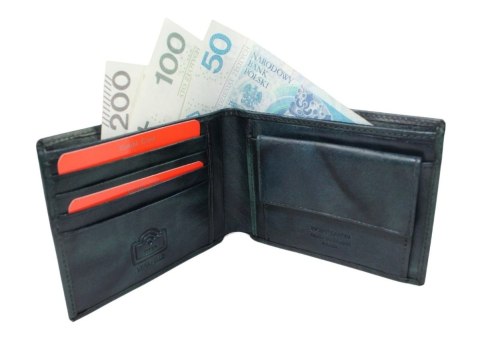 Portfel Męski PIERRE CARDIN Skóra Licowa Duży Poziomy Bez Zapięcia  18062 ,,MOZAJKA,, MORSKI 12 x 9,5 x 2,5 [cm]